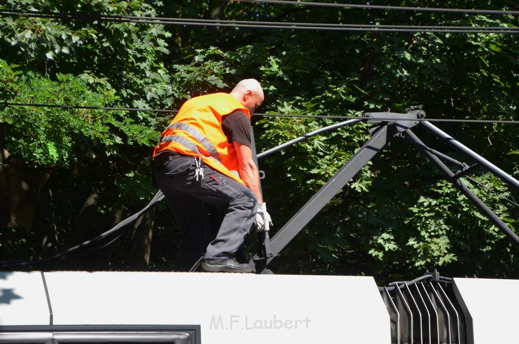 KVB Bahn defekt Koeln Buchheim Heidelbergerstr P55.JPG - Miklos Laubert